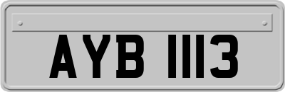 AYB1113