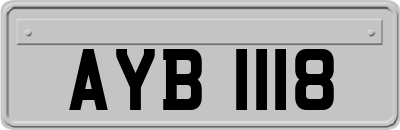 AYB1118