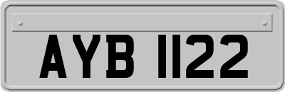 AYB1122