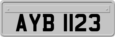AYB1123