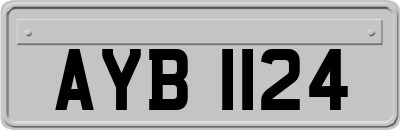 AYB1124