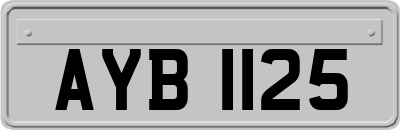 AYB1125