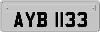 AYB1133