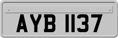 AYB1137