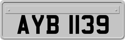 AYB1139