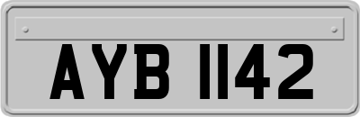 AYB1142