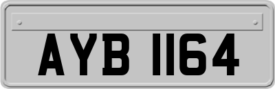 AYB1164