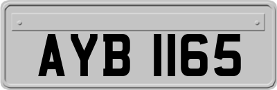 AYB1165