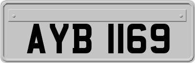 AYB1169