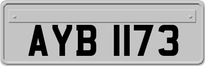 AYB1173