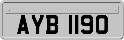 AYB1190