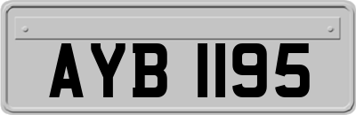 AYB1195