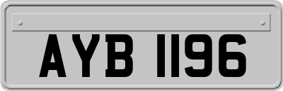 AYB1196