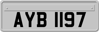 AYB1197