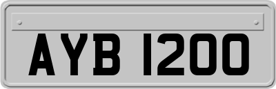 AYB1200
