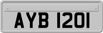 AYB1201