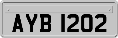 AYB1202