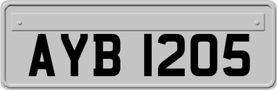 AYB1205