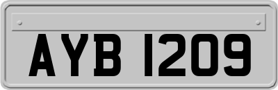 AYB1209