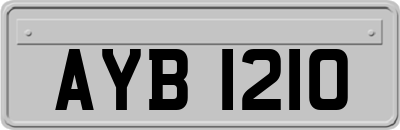AYB1210