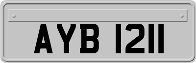 AYB1211