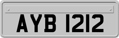 AYB1212