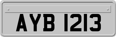 AYB1213