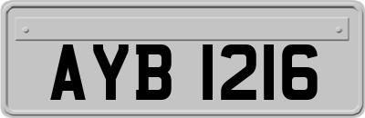 AYB1216
