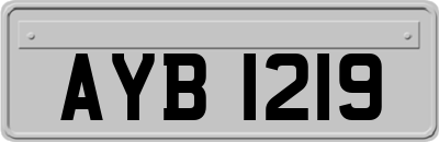 AYB1219