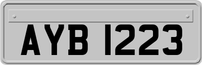 AYB1223