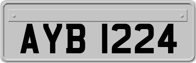 AYB1224