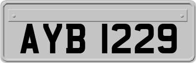 AYB1229