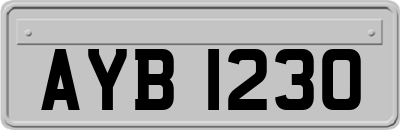 AYB1230