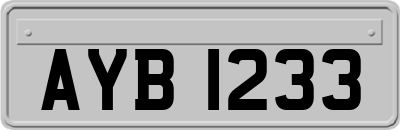 AYB1233