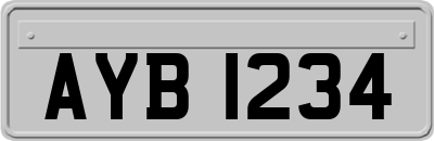 AYB1234
