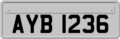 AYB1236