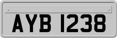 AYB1238