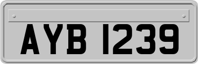 AYB1239