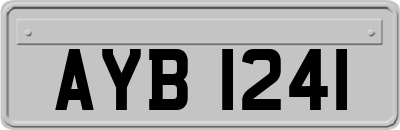 AYB1241