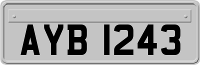 AYB1243
