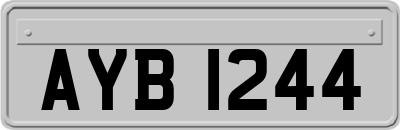 AYB1244