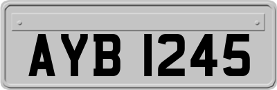 AYB1245