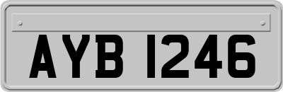 AYB1246