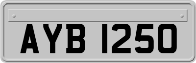 AYB1250
