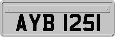 AYB1251