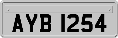 AYB1254