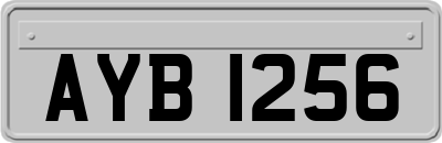 AYB1256