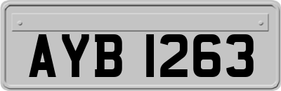 AYB1263