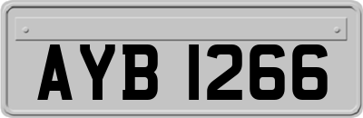AYB1266
