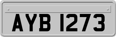 AYB1273